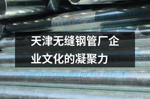 天津无缝钢管厂企业文化的凝聚力